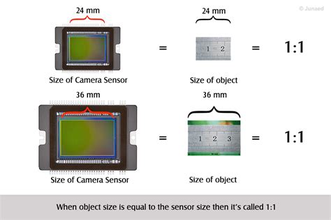 Guidelines for Understanding Magnification in the Modern Digital.
